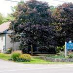 Andrea M. Taliento, Dmd Cosmetic Dentist in Gorham