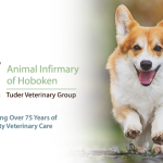 Animal Infirmary Of Hoboken Cosmetic Dentist in Hoboken