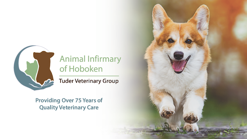 Negocio Animal Infirmary Of Hoboken