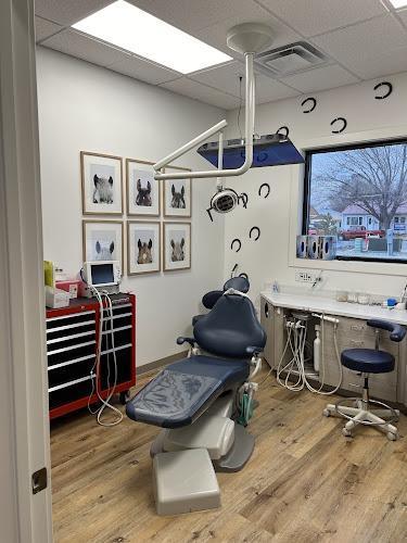 Negocio Beartooth Pediatric Dentistry