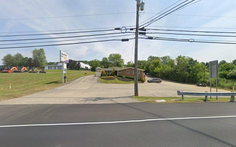 Negocio Dentistry For Kids