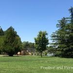 Don P Gutierrez, Dmd Cosmetic Dentist in Albuquerque