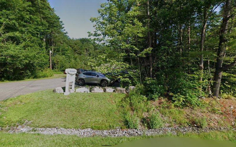 Negocio Dr. Rohini Badlani