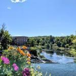 Essex Street Family Dental Llc Cosmetic Dentist in Dover-Foxcroft