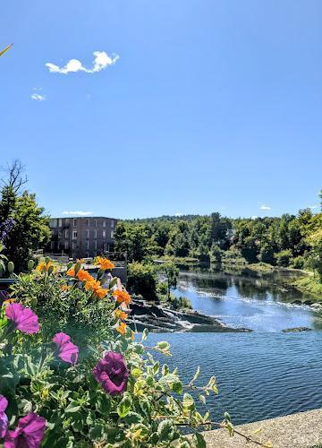 Negocio Essex Street Family Dental Llc