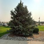 Gillette Dental Group: Morrison Daniel J Dds Cosmetic Dentist in Gillette