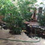 Gray Cosmetic & Family Dentistry Cosmetic Dentist in Midland