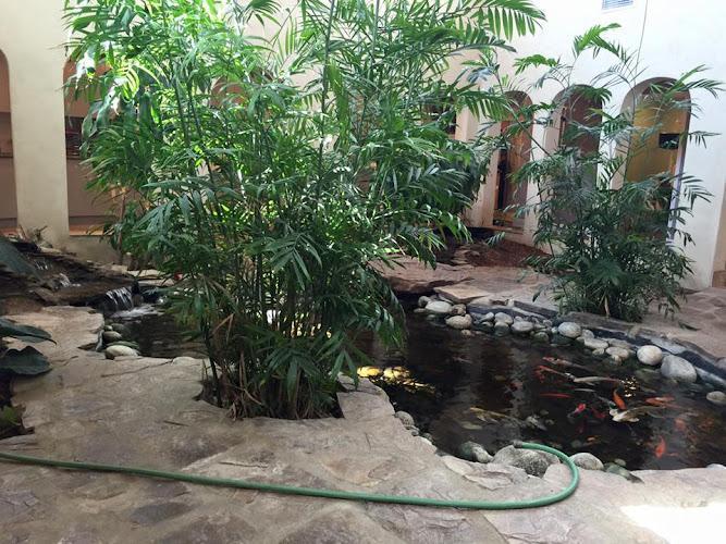 Negocio Gray Cosmetic & Family Dentistry