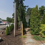 Hajra Sheikh Dmd Cosmetic Dentist in Amherst