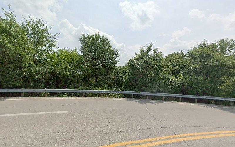 Negocio Lechner Dental Group: Daryl M. Lechner, Dds