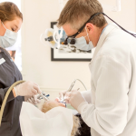 Levesque Dentistry Cosmetic Dentist in Nashua