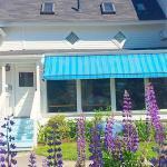 Michelle Morrow D.m.d. Cosmetic Dentist in Belfast