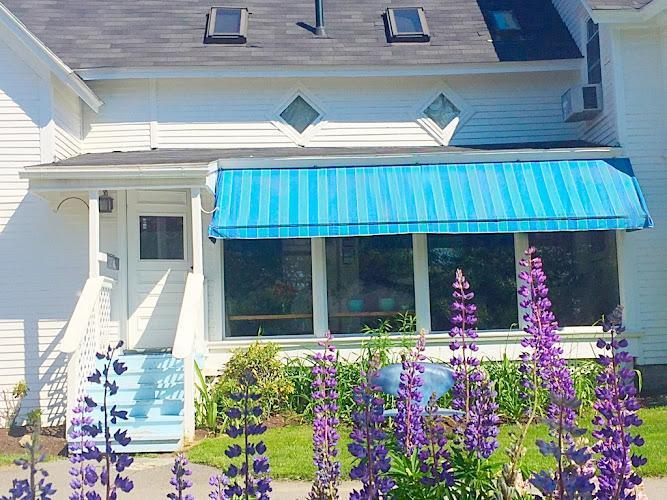 Negocio Michelle Morrow D.m.d.