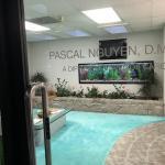 Pjn Dental Cosmetic Dentist in Beaverton