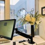 Portland Dental Cosmetic Dentist in Portland