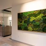 Serene Dental - Sw Portland Cosmetic Dentist in Portland