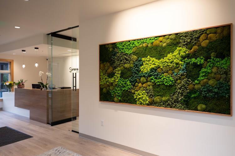 Negocio Serene Dental - Sw Portland