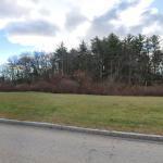 Smile Design Center: Bondar Vitali Dds Cosmetic Dentist in Portsmouth