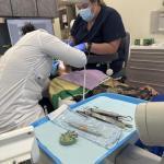 Smile Doc Cosmetic Dentist in Raymond