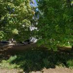 Steinke Daniel L Dr Cosmetic Dentist in Dover-Foxcroft