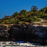 Sweet Dental Cosmetic Dentist in Scarborough