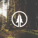 Twin Pines Extraction & Denture Center Cosmetic Dentist in Bangor