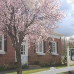 Village Dental Of New England, Dr Ahmed Hamada Cosmetic Dentist in Plaistow