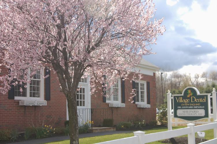 Negocio Village Dental Of New England, Dr Ahmed Hamada